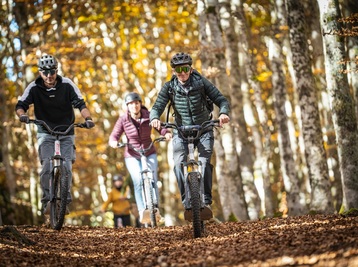 Copyright Benjamin Becker