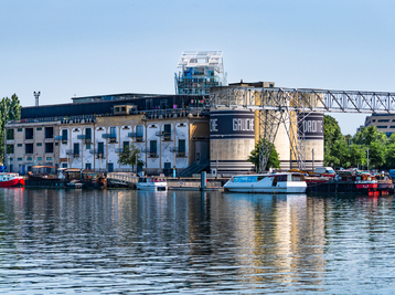 Copyright Ingrid Moya