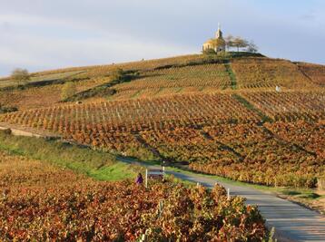 Copyright T.Blanchier - Beaujolais Tourisme
