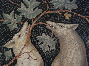 Copyright Fondation Fourvière