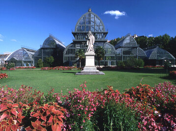 Copyright Jardin botanique de Lyon