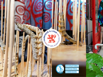 Copyright Brochier Soieries Vieux Lyon