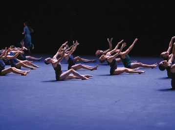 Copyright © Ascaf - Batsheva Company