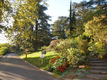 Balade botanique