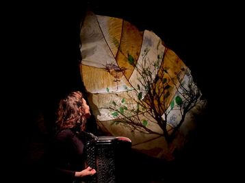 Copyright Adrien Vernay