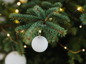 Copyright Karola G de Pexels