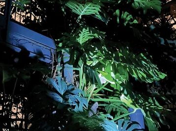 Copyright Sébastien Seurre