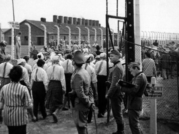 Copyright © Zespol Filmowy Kamera / DR