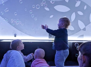 Copyright © musée des Confluences - S. Roux