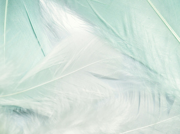 Copyright © pexels Artempodrez