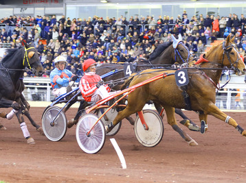Copyright Hippodrome de Lyon-Carré de Soie