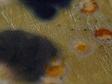 Copyright Marion Granjon