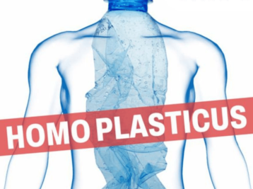 Copyright Espace 6 MJC