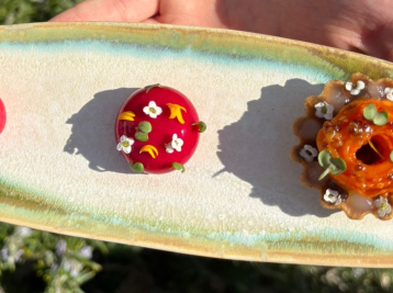 Copyright Institut Lyfe