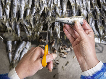 Copyright la belle-iloise