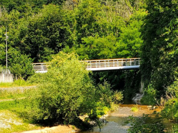 Copyright Association Kaypacha