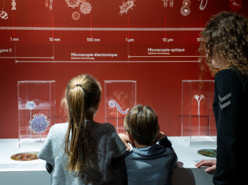 Copyright Musée de Sciences Biologiques Docteur Mérieux. ©Florent DUBRAY..