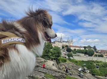 Copyright Rocca
