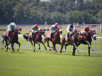 Copyright Les Hippodromes de Lyon