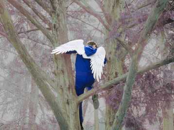 Copyright Jeanne Garraud