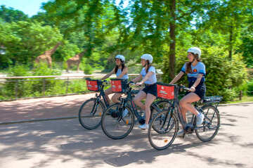 Parc de la Tête d'Or à vélo électrique