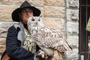 L'étrange Noël des sorciers - Festival Yggdrasil_Bron