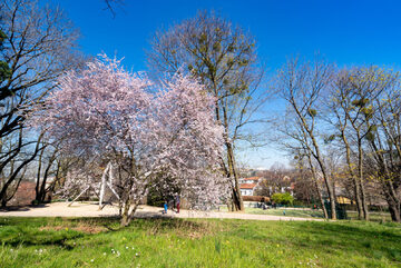 Parc du Prado_Oullins-Pierre-Bénite
