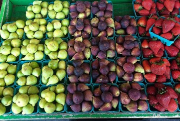 marché bio