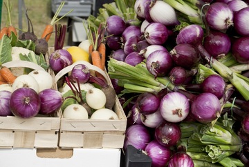 Marché Biologique Saint Jean_Lyon 5ème