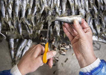 Emboîtage des Sardines