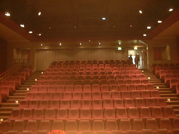 salle spectacle lyon 7
