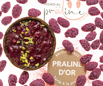 Maison P&eacute;pin_Lyon 7&egrave;me