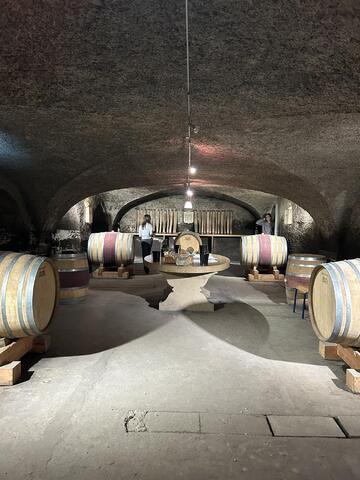 Beaujolais Wine Experiences_Lyon 4ème