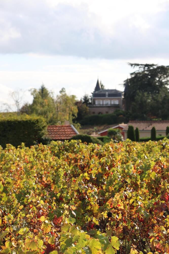 Copyright T.Blanchier - Beaujolais Tourisme