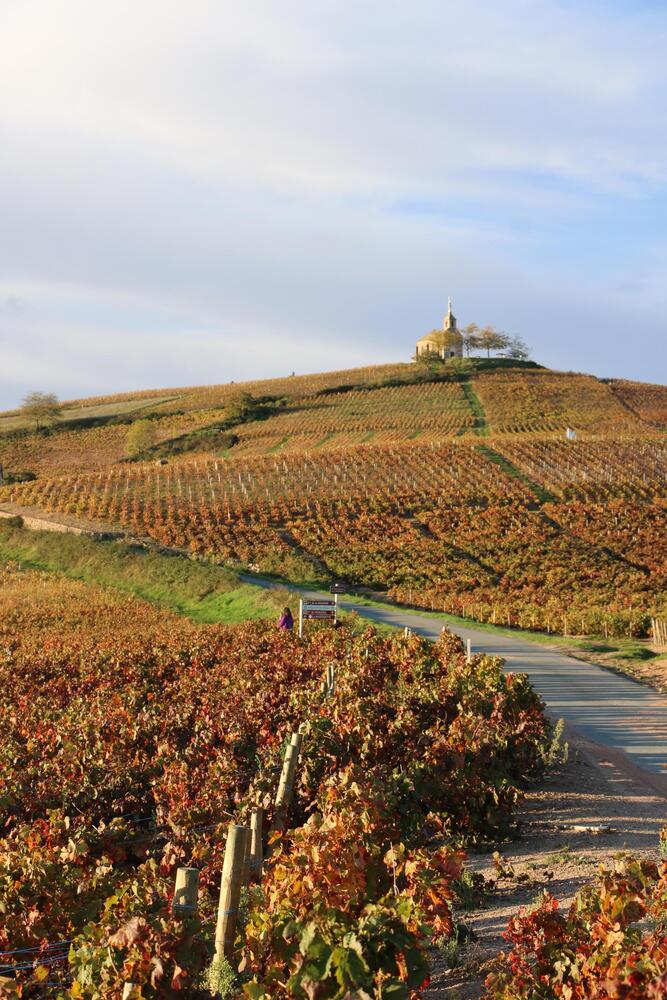 Copyright T.Blanchier - Beaujolais Tourisme