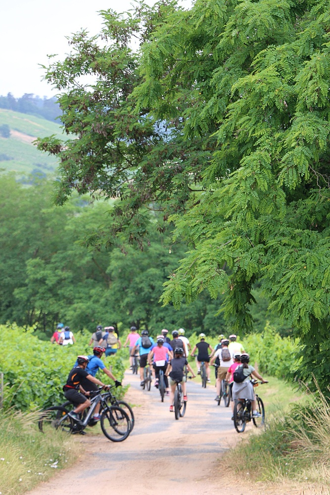 Copyright ©️AnnaPurnaAdventure