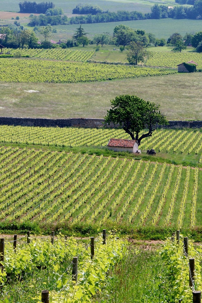 Copyright ©️AnnaPurnaAdventure