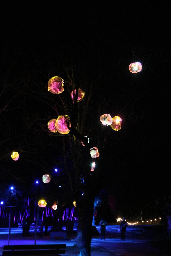 Copyright Claire Curt