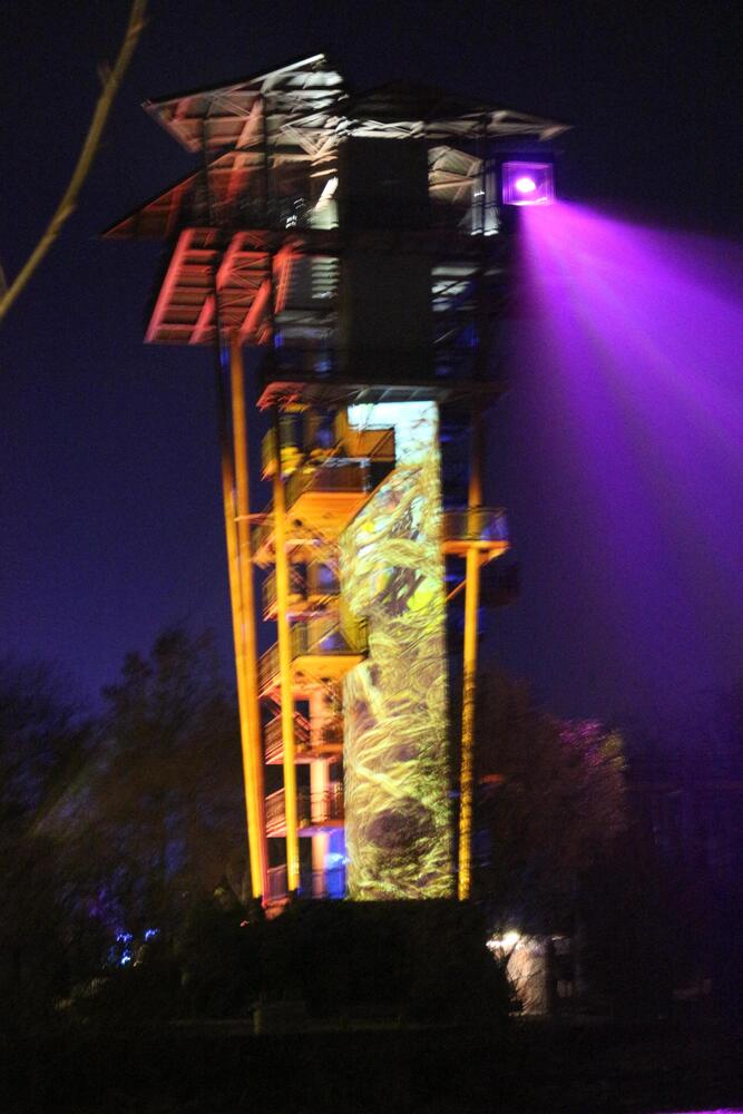 Copyright Claire Curt