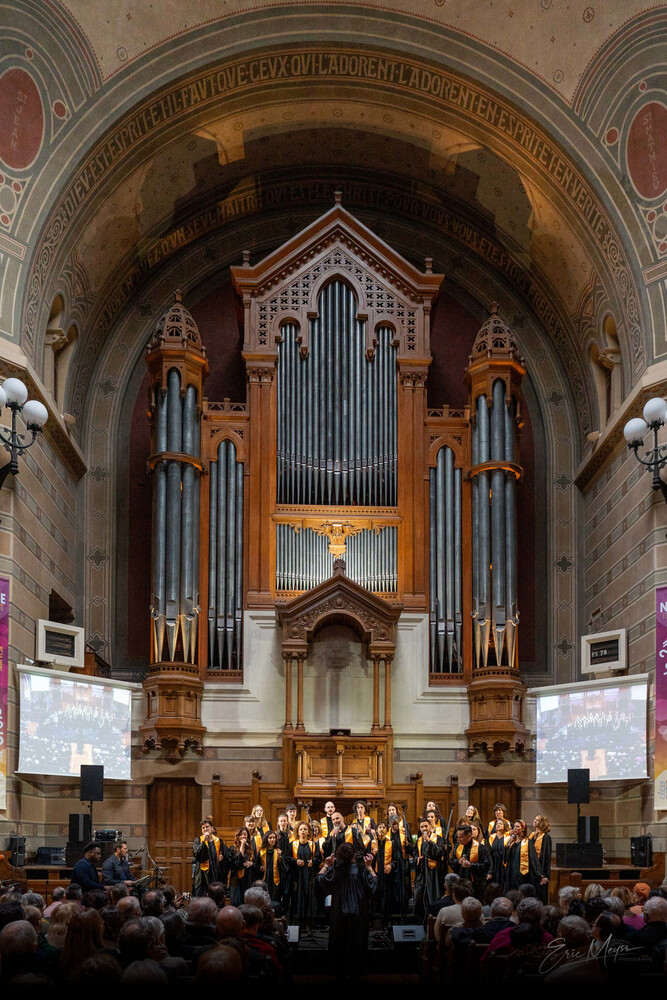 Copyright Eric Meyss