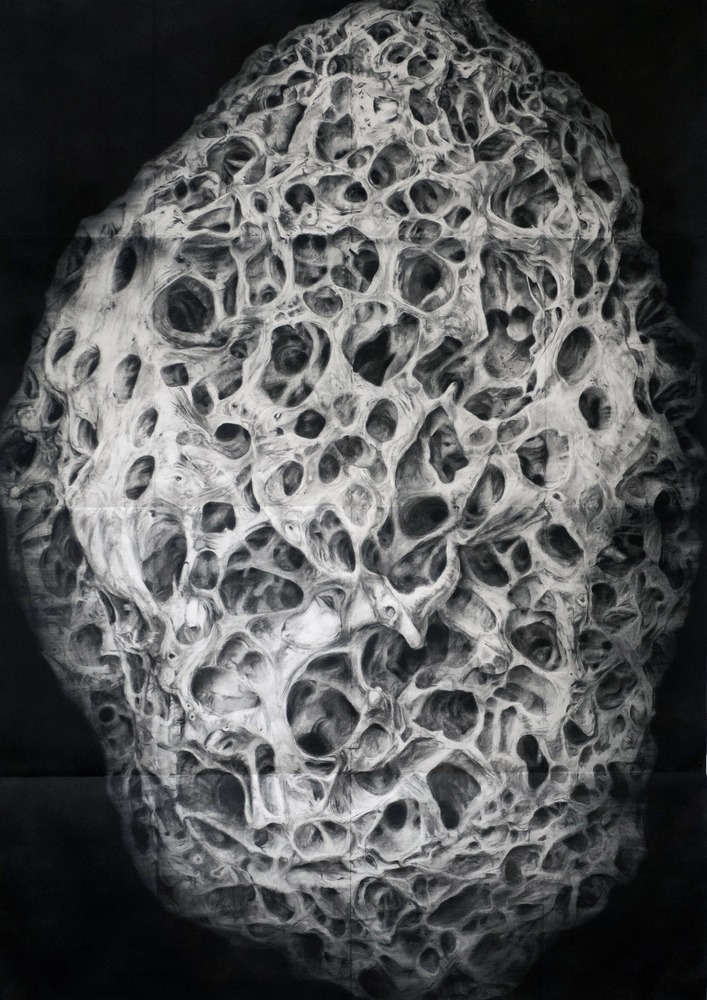 Copyright Jeanne Held