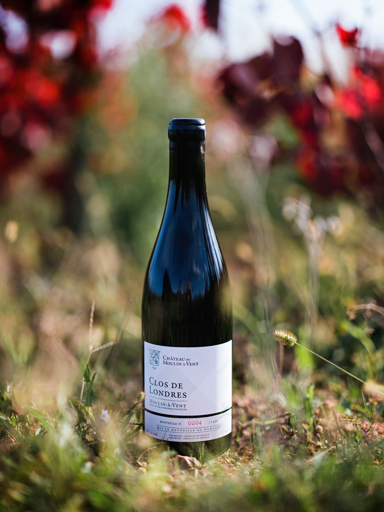 Copyright FRANCK JUERY