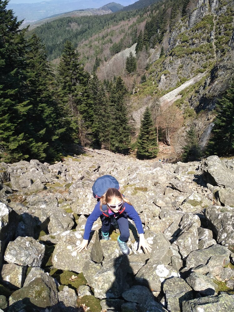 Copyright credit trottnature