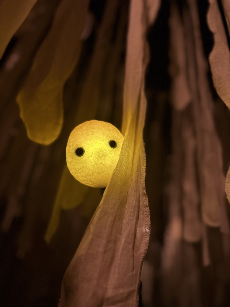Copyright Maxence Siffer
