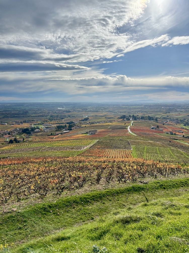 Copyright Thomas Lejeune