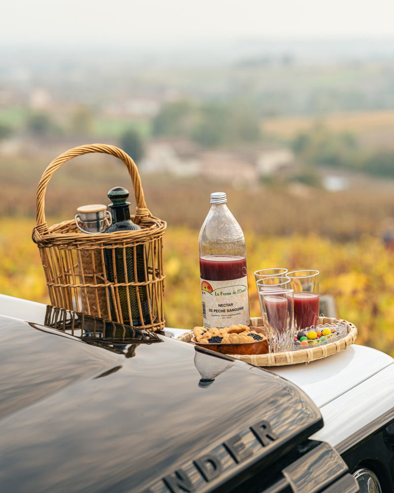 Copyright ©️AnnaPurnaAdventure