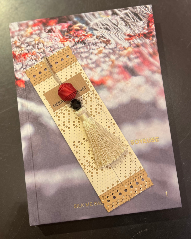 Copyright Chloé Lapeyssonnie