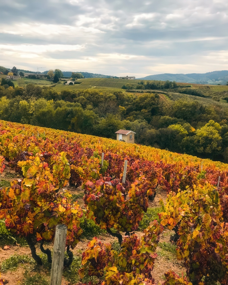 Copyright Gourmet getaways